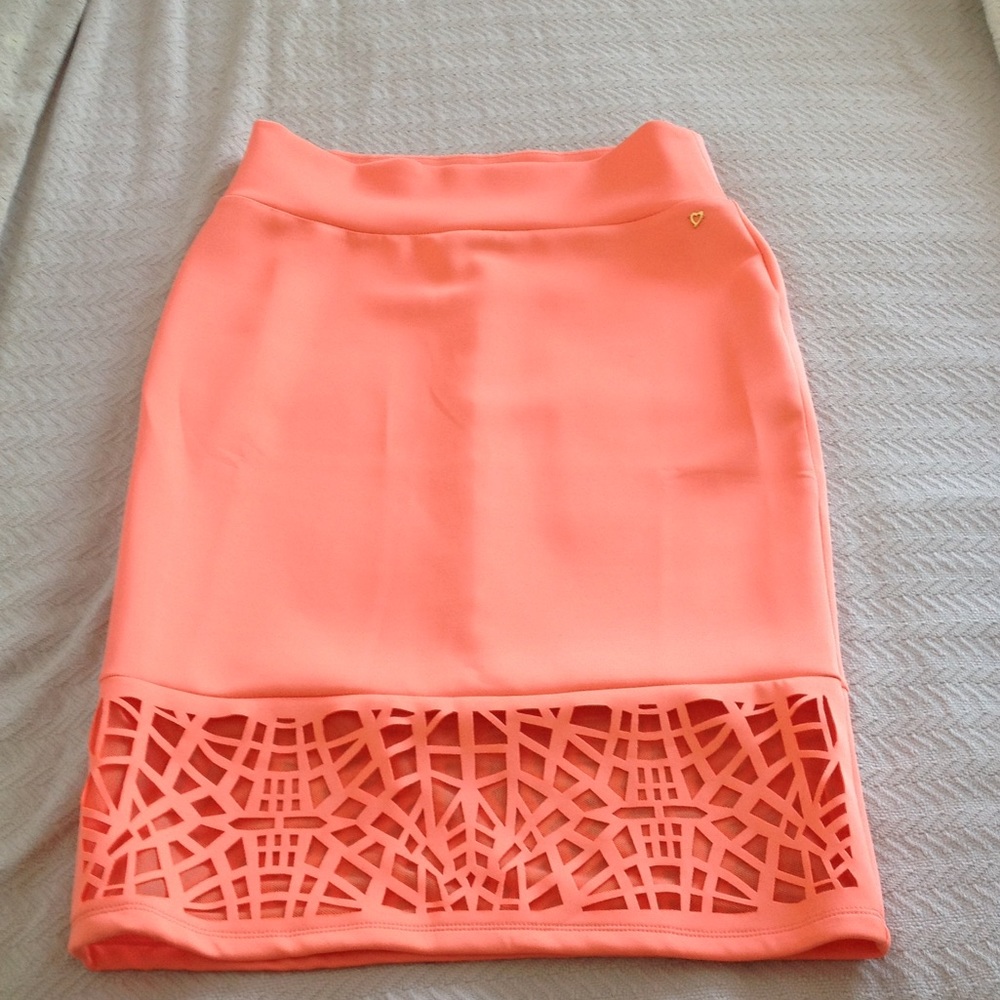 Beautiful Stretch Skirt